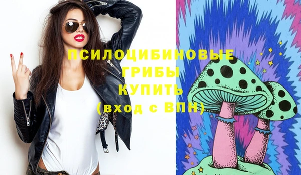 метамфетамин Богданович