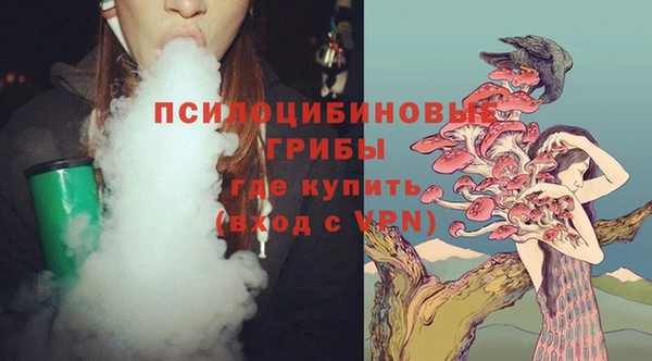 мдпв Сафоново